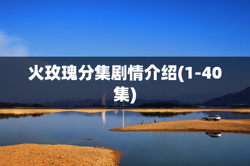 火玫瑰分集剧情介绍(1-40集)