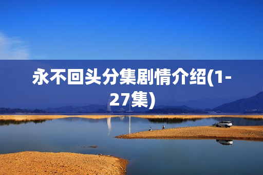 永不回头分集剧情介绍(1-27集)