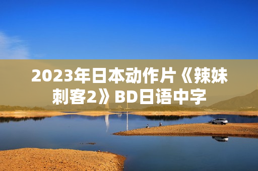2023年日本动作片《辣妹刺客2》BD日语中字