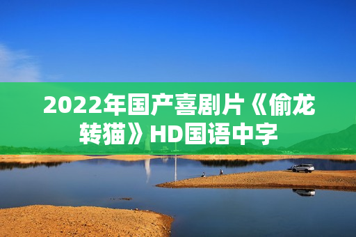 2022年国产喜剧片《偷龙转猫》HD国语中字