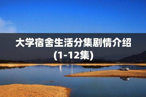 大学宿舍生活分集剧情介绍(1-12集)