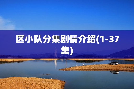 区小队分集剧情介绍(1-37集)