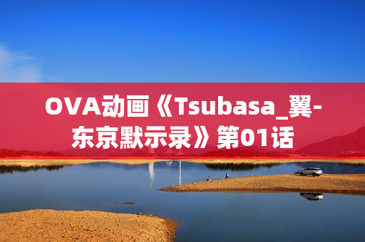 OVA动画《Tsubasa_翼-东京默示录》第01话