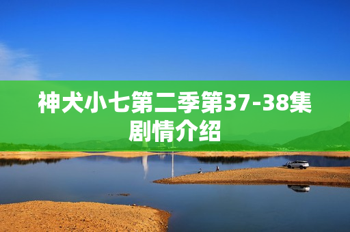 神犬小七第二季第37-38集剧情介绍 神犬小七第二季第37-38集剧情介绍