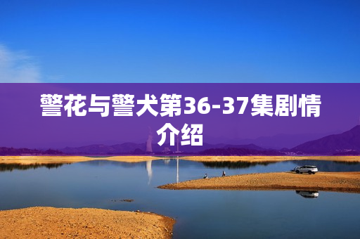 警花与警犬第36-37集剧情介绍 警花与警犬第36-37集剧情介绍
