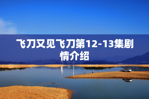 飞刀又见飞刀第12-13集剧情介绍