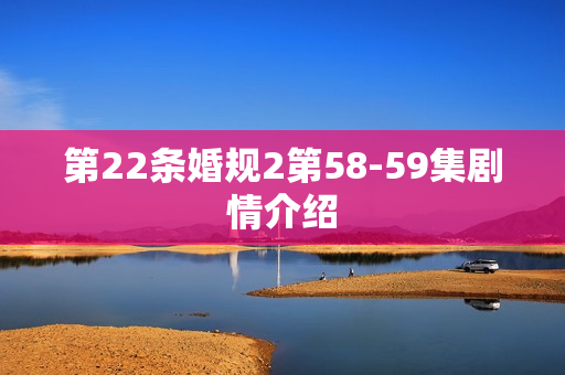 第22条婚规2第58-59集剧情介绍