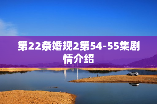第22条婚规2第54-55集剧情介绍 第22条婚规2第54-55集剧情介绍