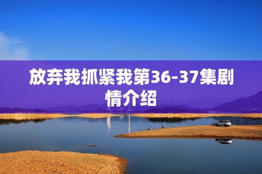 放弃我抓紧我第36-37集剧情介绍