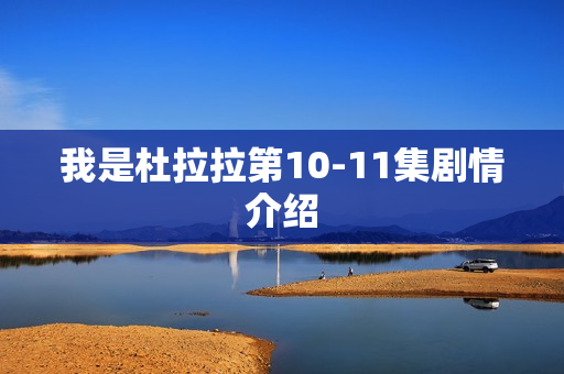 我是杜拉拉第10-11集剧情介绍 我是杜拉拉第10-11集剧情介绍