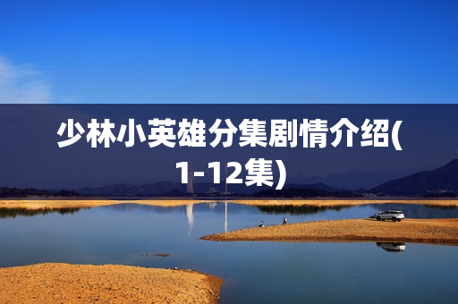 少林小英雄分集剧情介绍(1-12集)