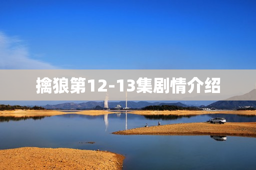 擒狼第12-13集剧情介绍