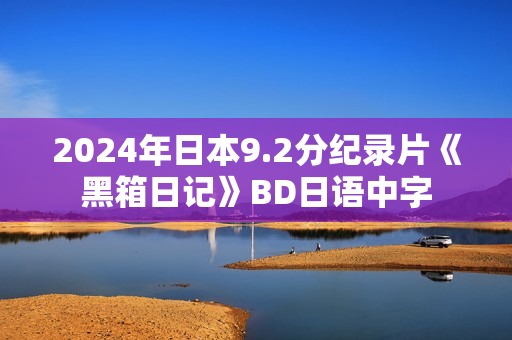 2024年日本9.2分纪录片《黑箱日记》BD日语中字