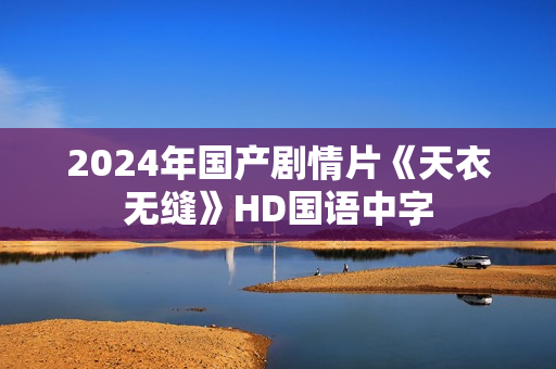 2024年国产剧情片《天衣无缝》HD国语中字