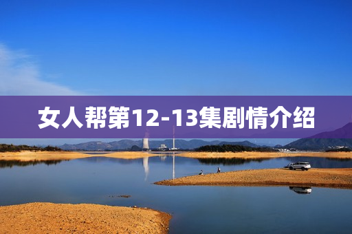 女人帮第12-13集剧情介绍