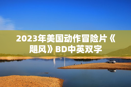 2023年美国动作冒险片《飓风》BD中英双字