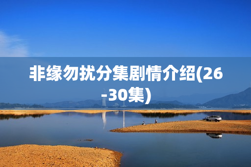 非缘勿扰分集剧情介绍(26-30集)