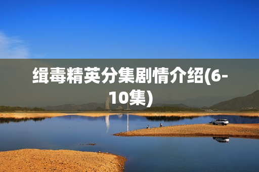 缉毒精英分集剧情介绍(6-10集)