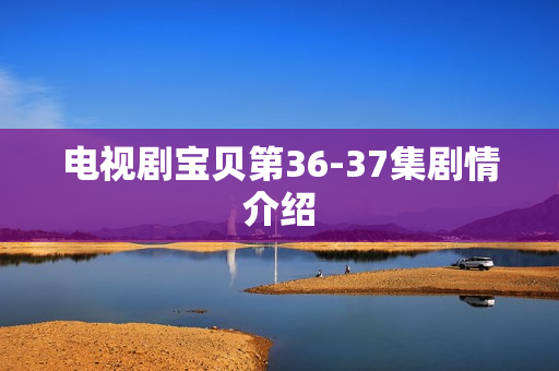 电视剧宝贝第36-37集剧情介绍