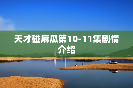 天才碰麻瓜第10-11集剧情介绍