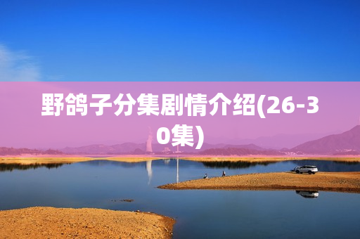野鸽子分集剧情介绍(26-30集)