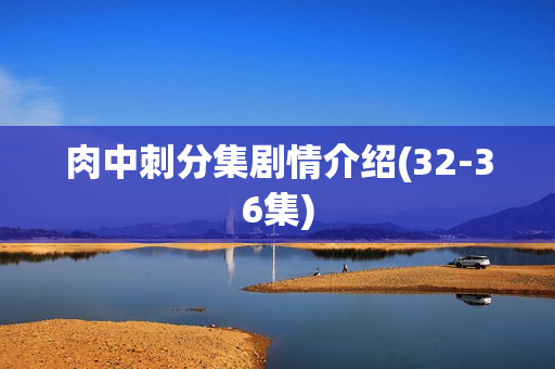 肉中刺分集剧情介绍(32-36集)