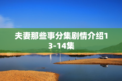夫妻那些事分集剧情介绍13-14集