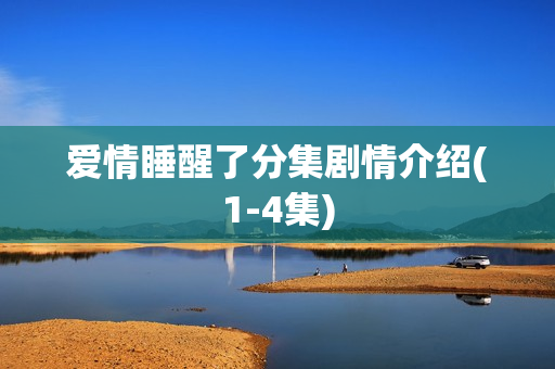 爱情睡醒了分集剧情介绍(1-4集)