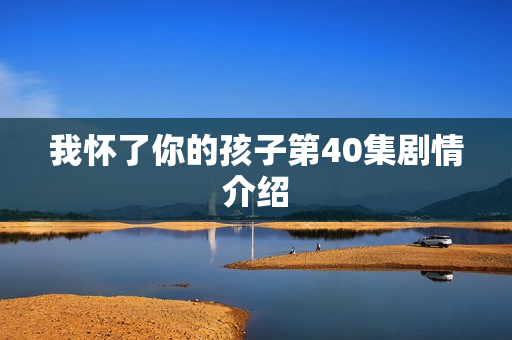 我怀了你的孩子第40集剧情介绍