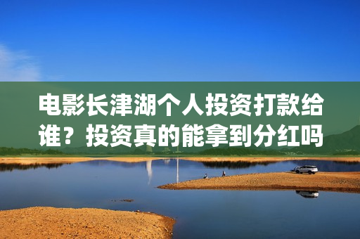 电影长津湖个人投资打款给谁？投资真的能拿到分红吗？(电影长津湖的演员)