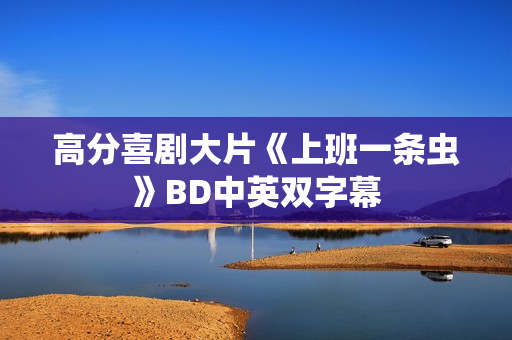 高分喜剧大片《上班一条虫》BD中英双字幕