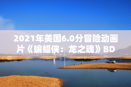 2021年美国6.0分冒险动画片《蝙蝠侠：龙之魂》BD中英双字
