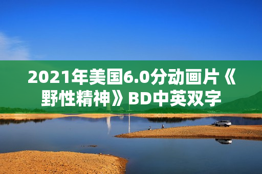 2021年美国6.0分动画片《野性精神》BD中英双字