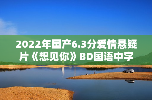 2022年国产6.3分爱情悬疑片《想见你》BD国语中字