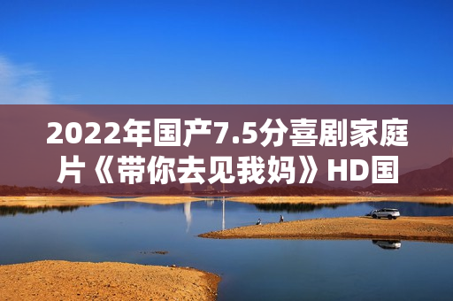 2022年国产7.5分喜剧家庭片《带你去见我妈》HD国语中字