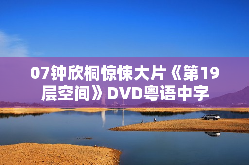 07钟欣桐惊悚大片《第19层空间》DVD粤语中字