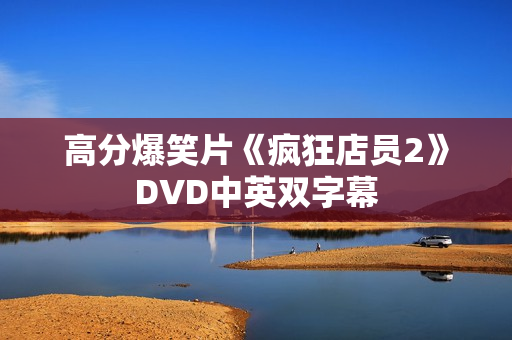 高分爆笑片《疯狂店员2》DVD中英双字幕