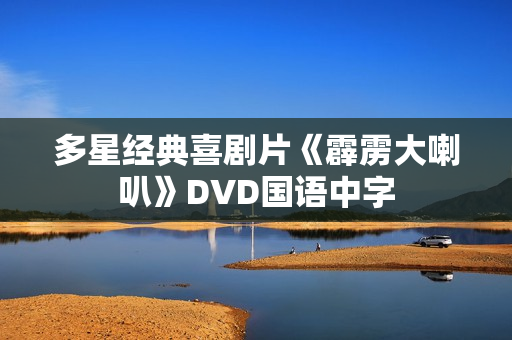 多星经典喜剧片《霹雳大喇叭》DVD国语中字