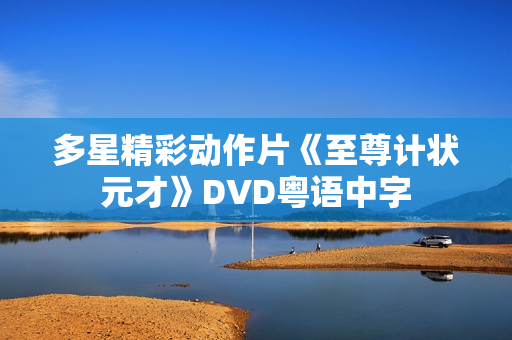 多星精彩动作片《至尊计状元才》DVD粤语中字