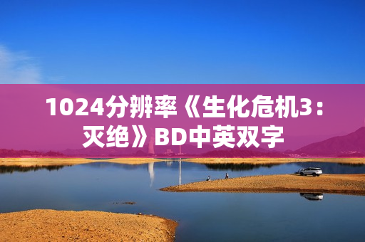 1024分辨率《生化危机3：灭绝》BD中英双字