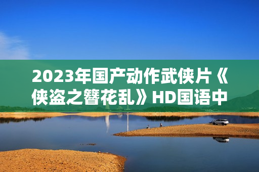 2023年国产动作武侠片《侠盗之簪花乱》HD国语中字