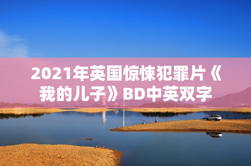 2021年英国惊悚犯罪片《我的儿子》BD中英双字