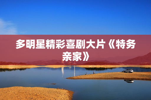 多明星精彩喜剧大片《特务亲家》