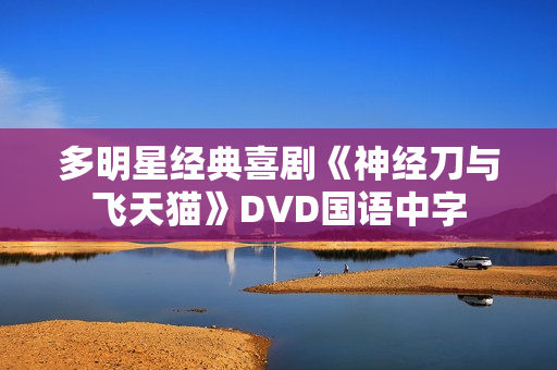 多明星经典喜剧《神经刀与飞天猫》DVD国语中字 多明星经典喜剧《神经刀与飞天猫》DVD国语中字