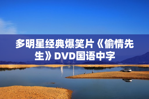 多明星经典爆笑片《偷情先生》DVD国语中字