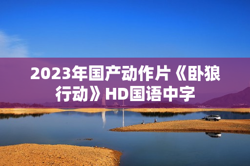 2023年国产动作片《卧狼行动》HD国语中字