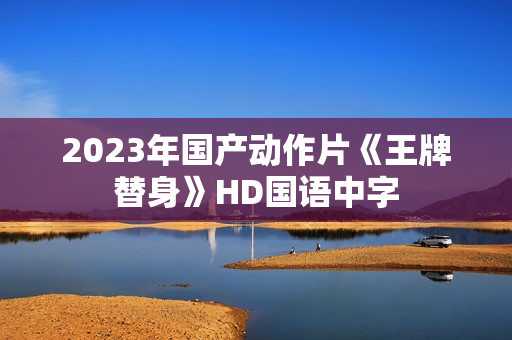 2023年国产动作片《王牌替身》HD国语中字