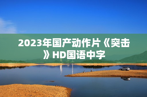 2023年国产动作片《突击》HD国语中字