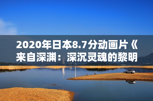 2020年日本8.7分动画片《来自深渊：深沉灵魂的黎明》BD日语中字