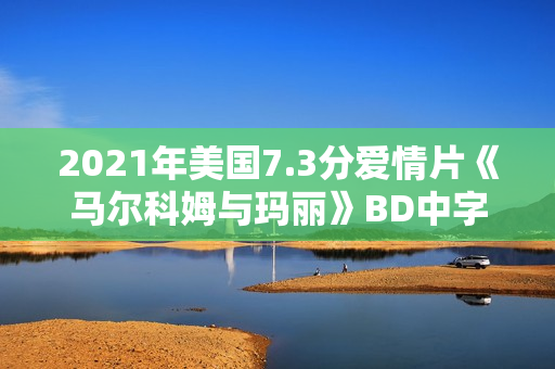 2021年美国7.3分爱情片《马尔科姆与玛丽》BD中字